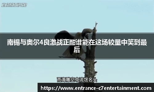c7娱乐官网